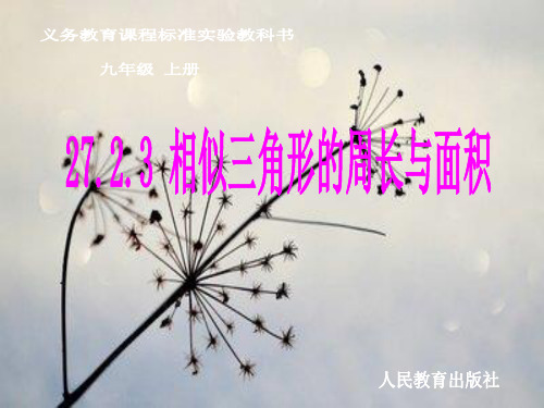 相似三角形的周长与面积PPT教学课件