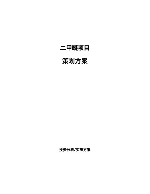 二甲醚项目策划方案