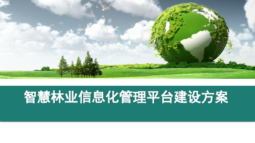 智慧林业信息化管理平台建设方案