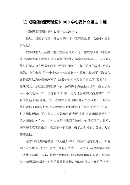 读《汤姆索亚历险记》800字心得体会精选5篇