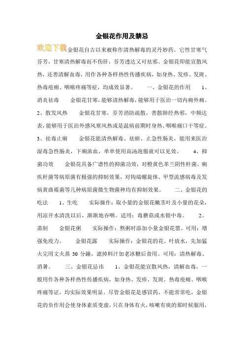 金银花作用及禁忌