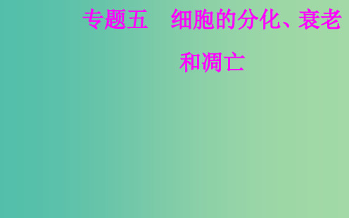 2019高中生物学业水平复习 专题五 细胞的分化、衰老和凋亡 考点3 细胞的衰老和凋亡以及与人体健康