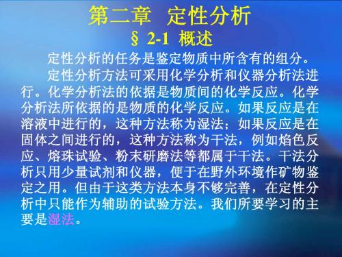 定性分析