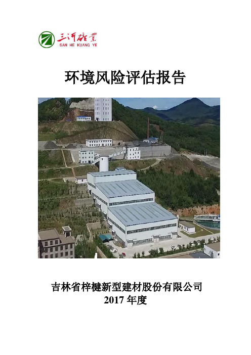2017尾矿库环境风险评估报告