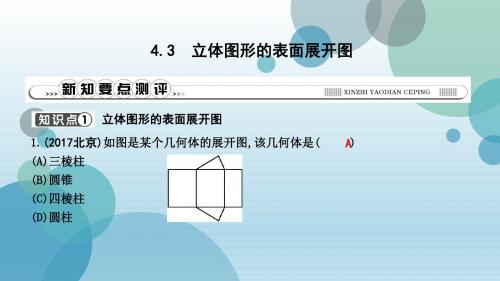 华师大版七年级上册数学作业课件：4.3 立体图形的表面展开图(共16张PPT)