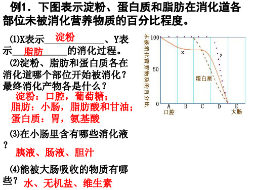 生物七年级下册全部背诵