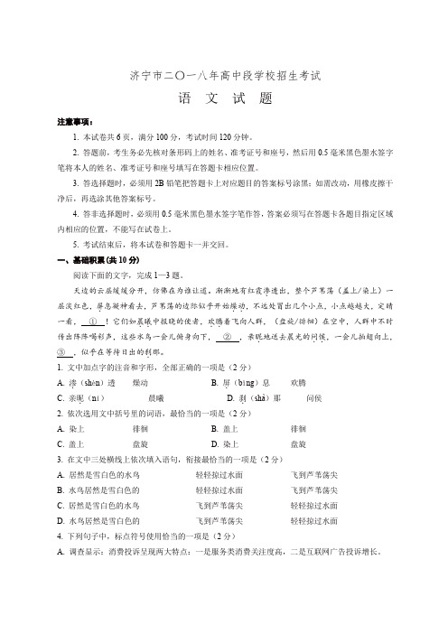 山东省济宁市2018中考语文试卷
