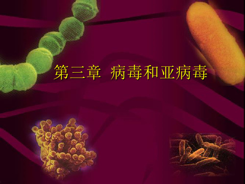 微生物学第三章2