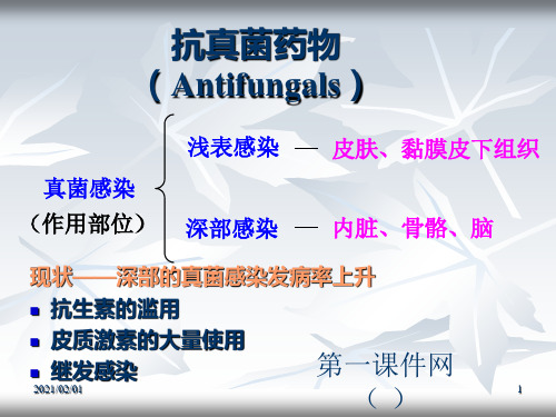 药物化学课件-抗真菌药优质课件PPT