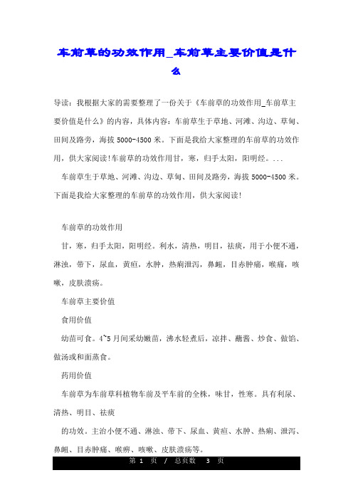 车前草的功效作用_车前草主要价值是什么