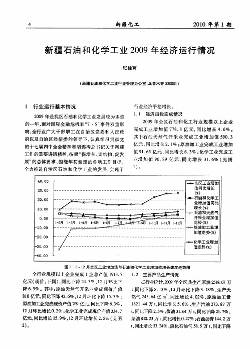 新疆石油和化学工业2009年经济运行情况