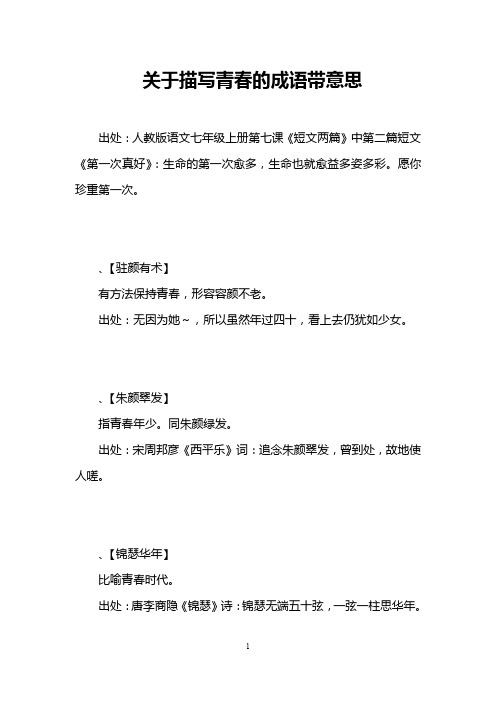 关于描写青春的成语带意思