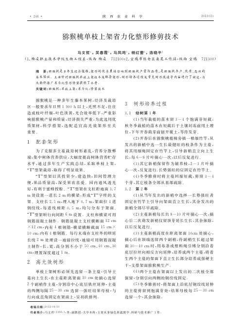 猕猴桃单枝上架省力化整形修剪技术