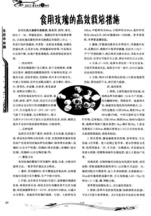 食用玫瑰的高效栽培措施