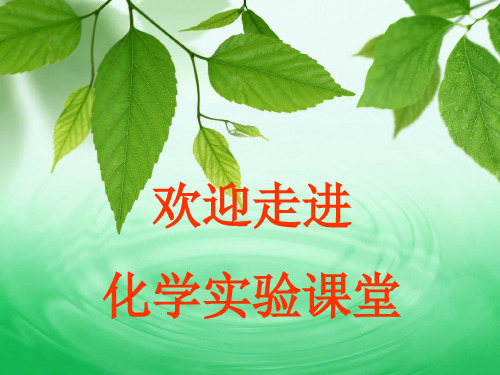 实验二.溶液的配制及分析