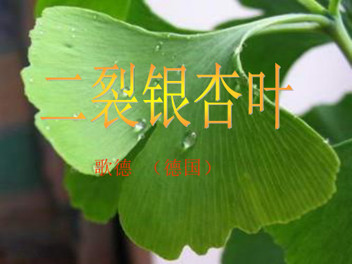 歌德德国教案资料