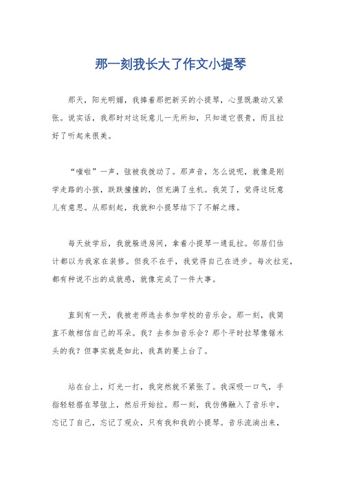 那一刻我长大了作文小提琴