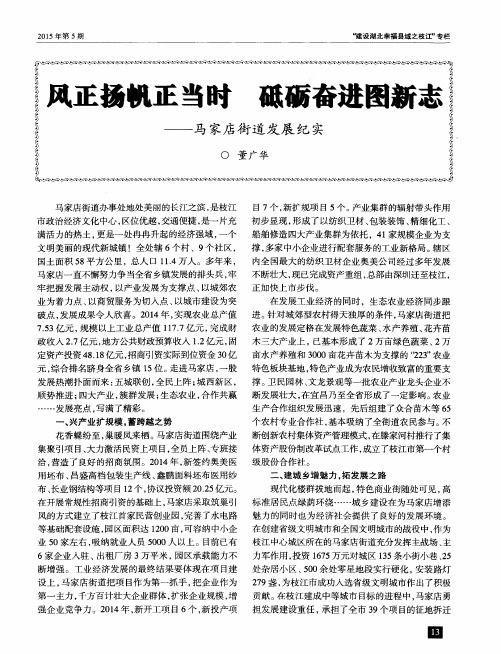 风正扬帆正当时 砥砺奋进图新志——马家店街道发展纪实