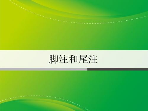 08第7章脚注和尾注