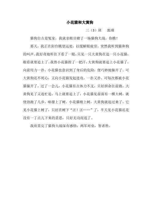 小花猫和大黄