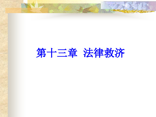法律救济概述培训课件