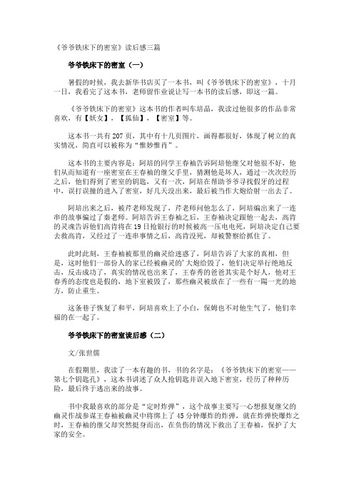 《爷爷铁床下的密室》读后感