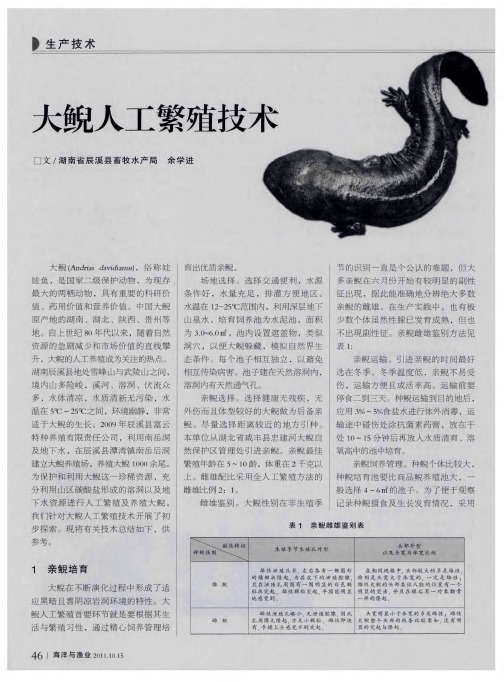 大鲵人工繁殖技术