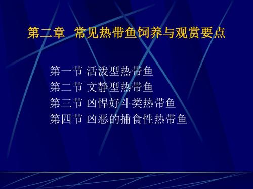 热带鱼第二章