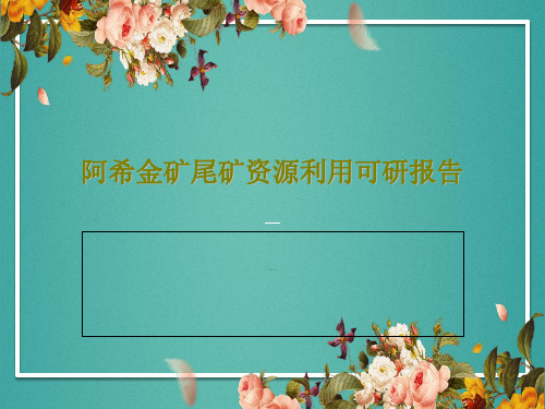 阿希金矿尾矿资源利用可研报告33页文档