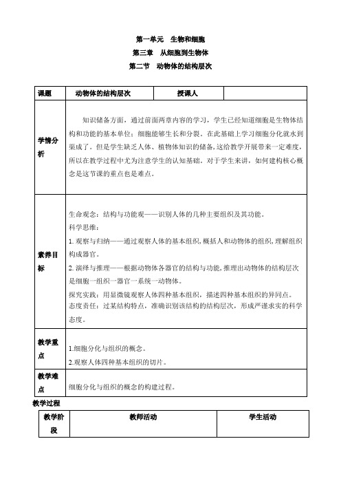 2024人教新版教材初中生物教案第二节 动物体的结构层次