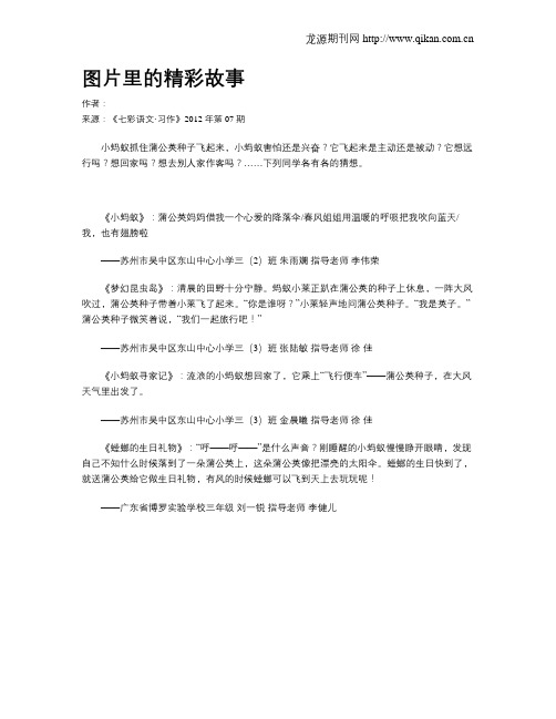 图片里的精彩故事