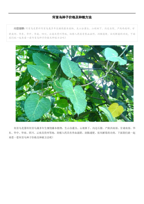 何首乌种子价格及种植方法
