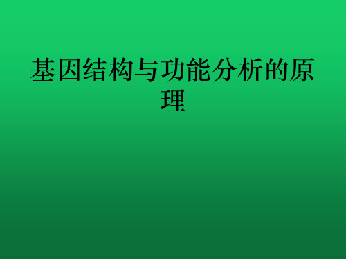 基因结构与功能分析的原理