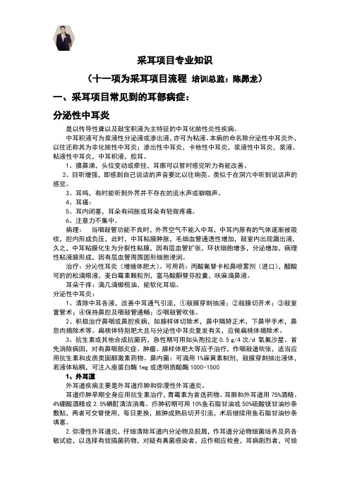 采耳项目相关培训