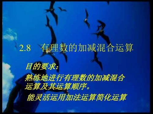 有理数的混合运算--华师大版