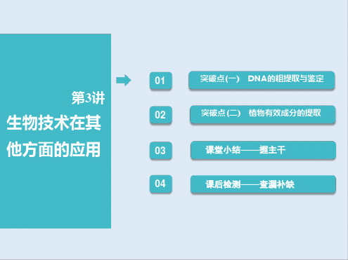 2019-2020学年高中新创新一轮复习生物通用版课件：选修1第3讲生物技术在其他方面的应用[文字可