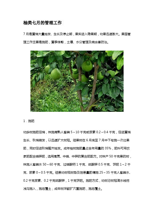 柚类七月的管理工作