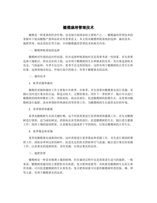 橄榄栽培管理技术