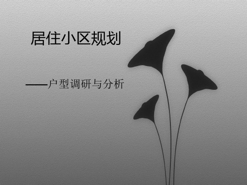 居住区规划户型调研ppt课件