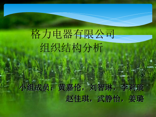 珠海格力电器组织结构