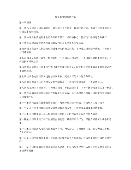 规章制度细则是什么