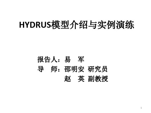 Hydrus软件应用ppt课件