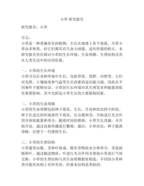 小草 研究报告