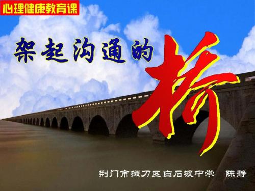 陈静架起沟通的桥课件