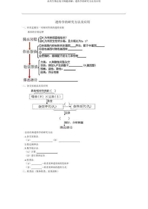 高考生物总复习例题讲解：遗传学的研究方法及应用