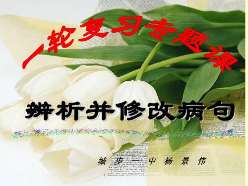 语病的修改(教学用)