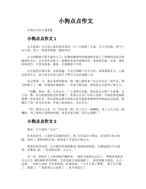 小狗点点作文
