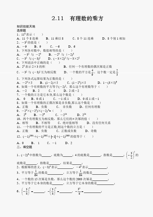 数学七年级上华东师大版§2.11有理数的乘方练习同步练习.doc