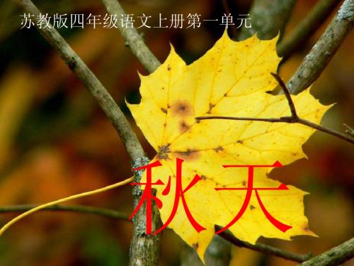 (苏教版)四年级语文上册课件_秋天_4