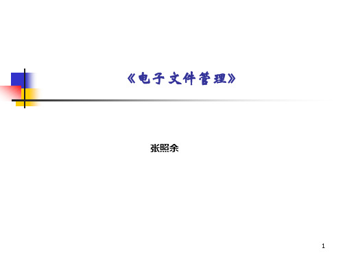 第三章电子文件的类型与格式(全)